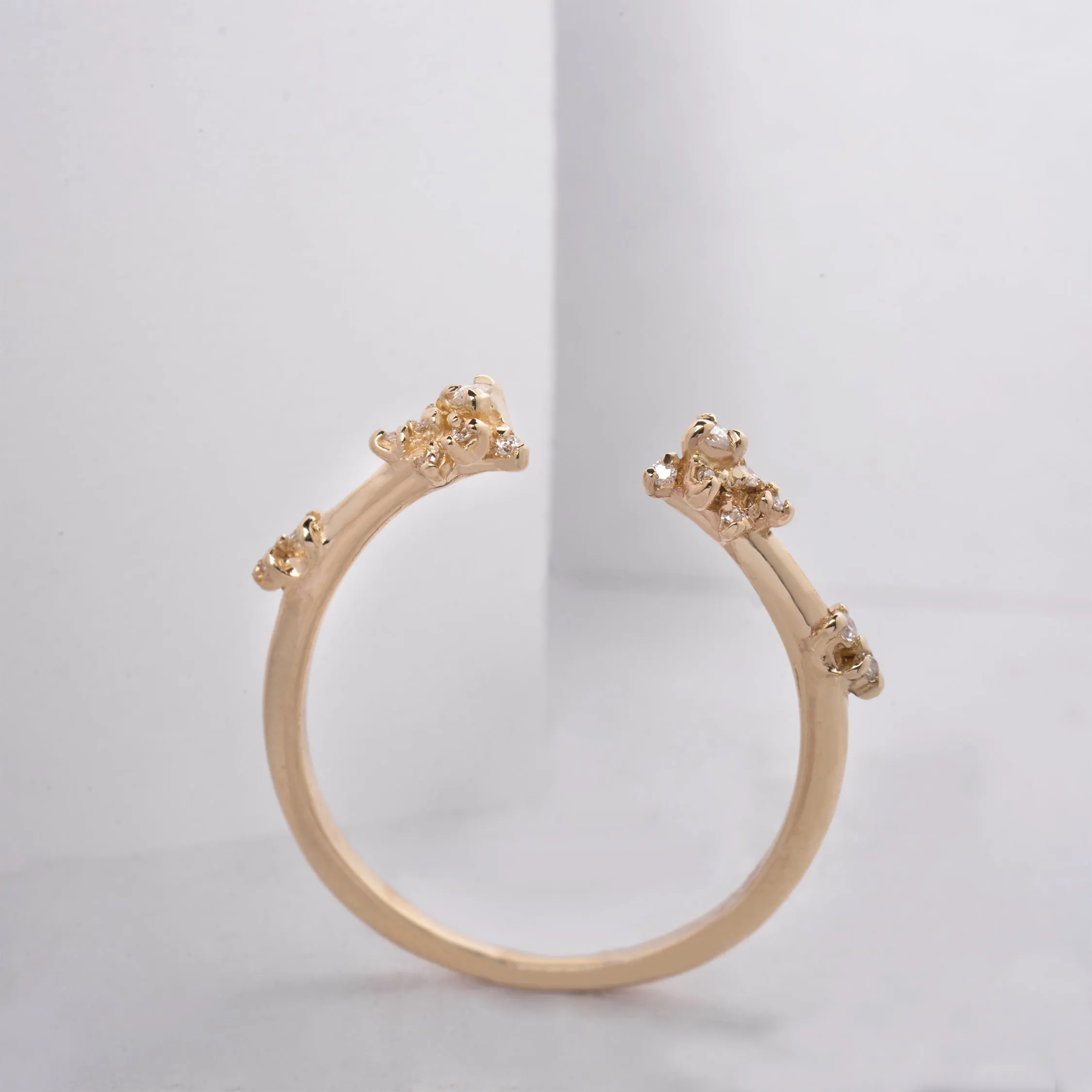 Daphne Ring with Thickened Band