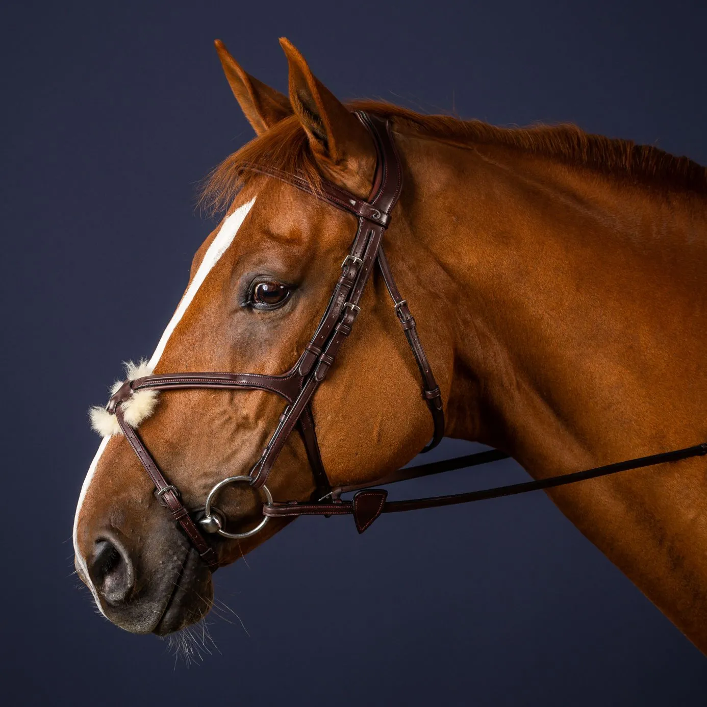 Dy'on New English Grackle Noseband Bridle - Brown