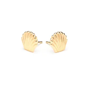 Gold Plated Seashell Tiny Stud Earrings