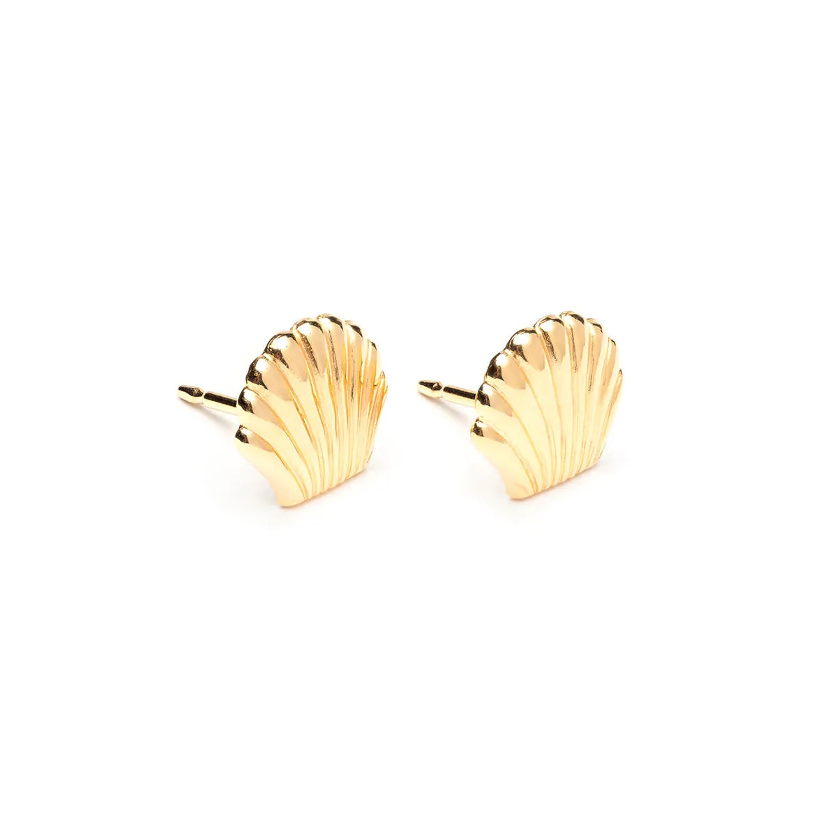 Gold Plated Seashell Tiny Stud Earrings